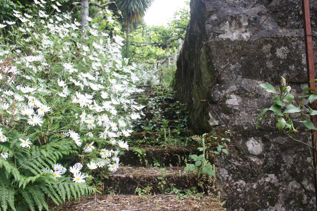 Holiday home Quinta Leiras *