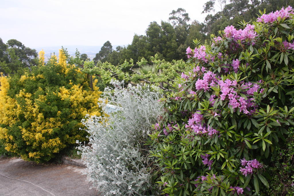 Holiday home Quinta Leiras *