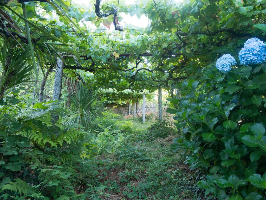 Holiday home Quinta Leiras Santo Tirso
