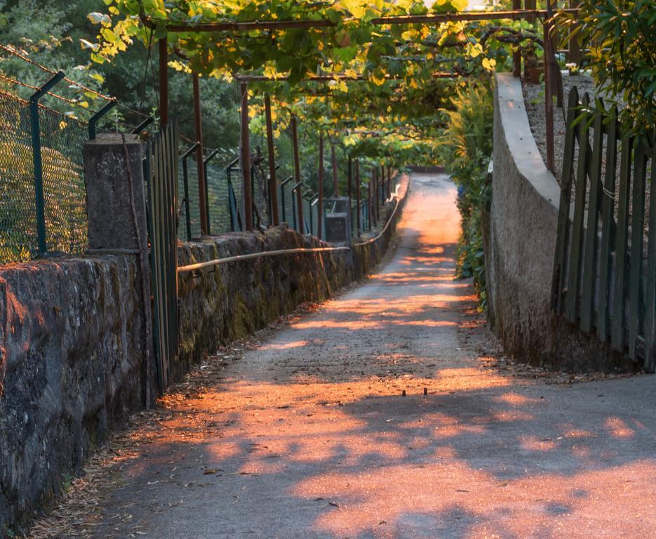 Quinta Leiras * Santo Tirso