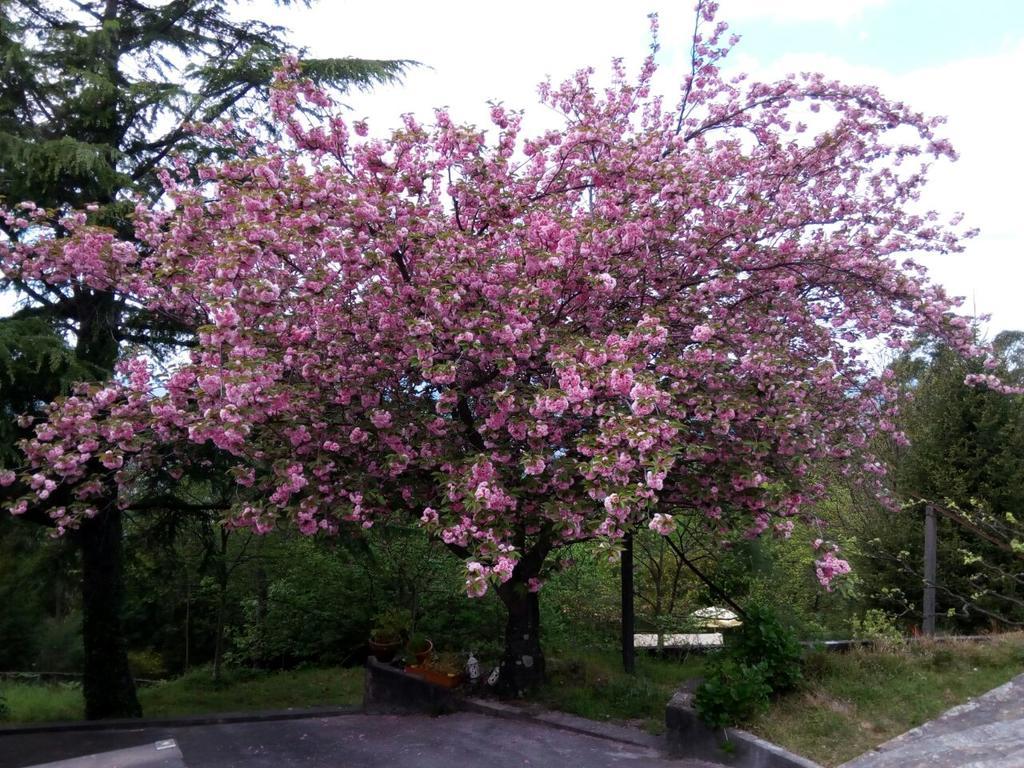 Quinta Leiras Holiday home *