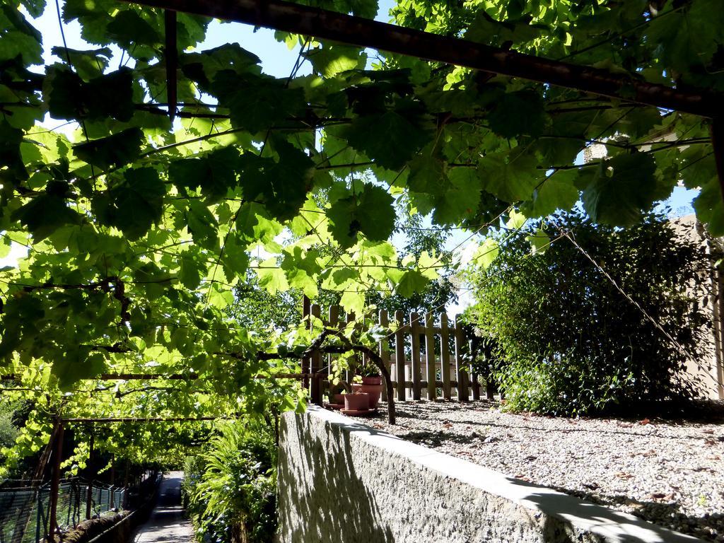 Quinta Leiras * Santo Tirso